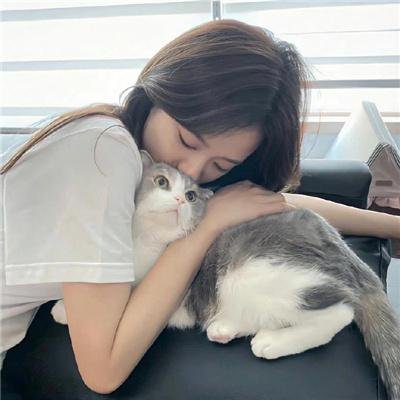 云深不知梦